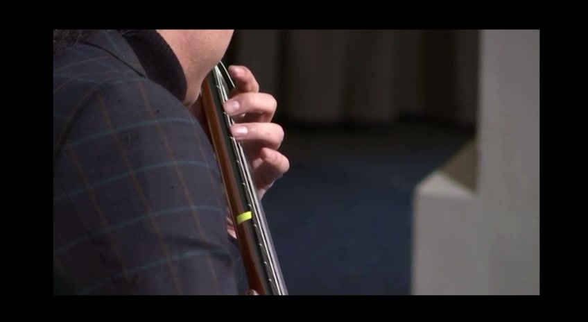Left hand on the fretboard of a classical guitar, close detail